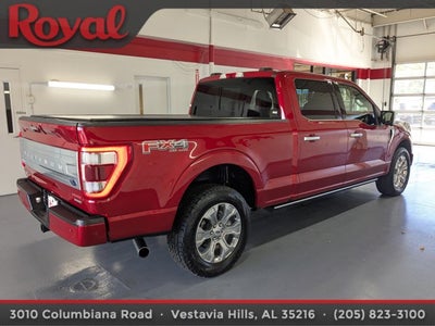 2021 Ford F-150 Platinum